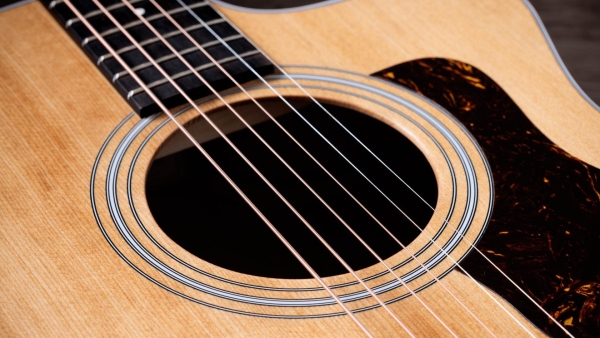 Taylor  214ce