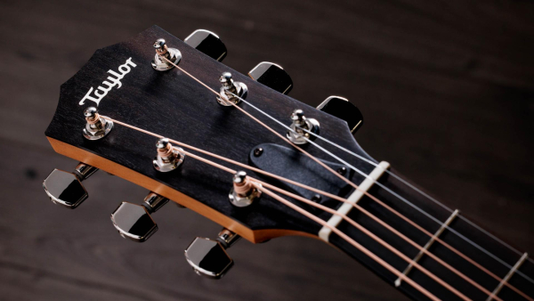 Taylor 214ce plus