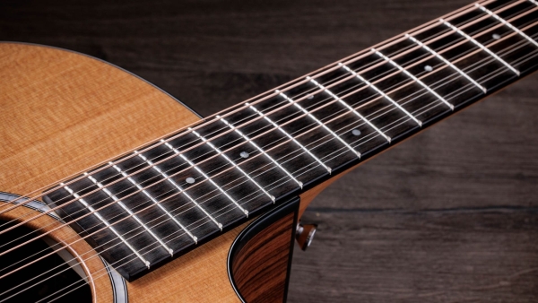 Taylor 254ce Plus