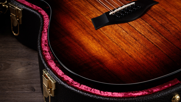 Preview: Taylor 264ce-K dlx 12 string