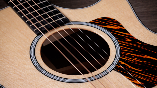 Taylor 314ce Next Generation