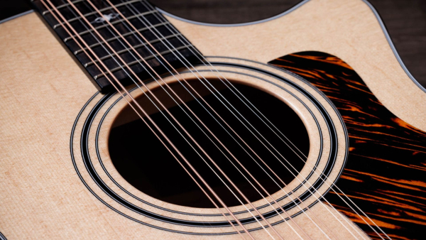 Taylor 354ce 12 string