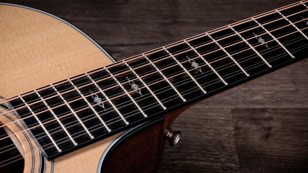 Taylor 354ce 12 string