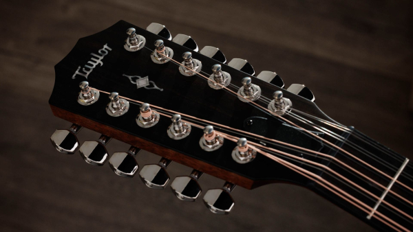 Taylor 354ce 12 string
