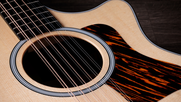 Preview: Taylor 454ce 12 string Next Generation