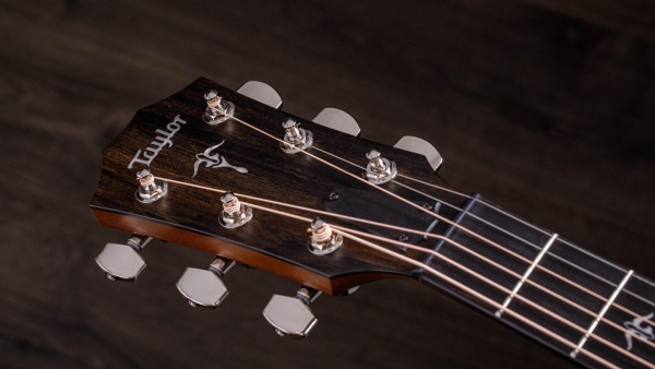 Taylor 512ce Urban Ironbark