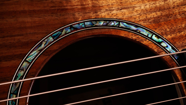 Taylor 724ce Gloss