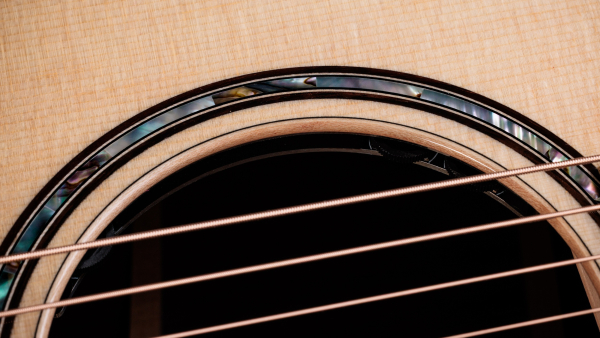 Preview: Taylor 814ce Next Generation