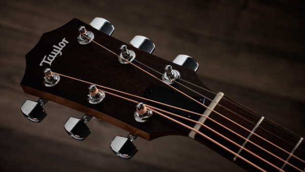 Taylor Academy 10e Limited Hawaiian Koa