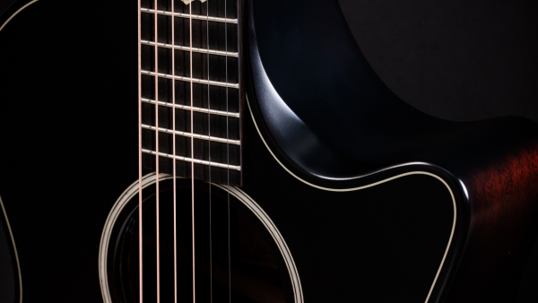 Preview: Taylor 324ce Builders Edition Next Generation