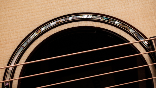 Taylor 814ce Builders Edition Next Generation