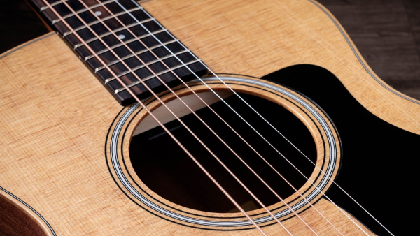 Taylor GS Mini Sapele