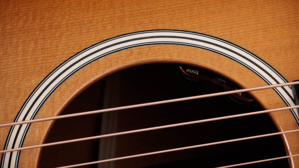 Taylor Gold Label 517e sunburst