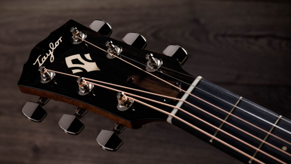 Taylor Gold Label 517e sunburst
