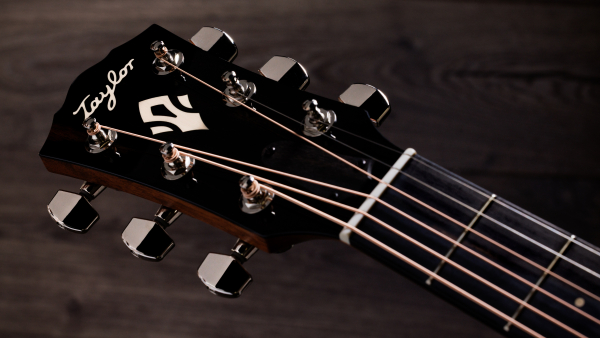Preview: Taylor Gold Label 710e