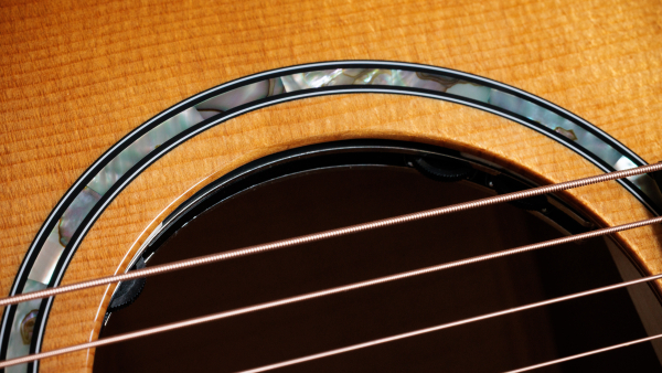 Preview: Taylor 614ce Next Generation