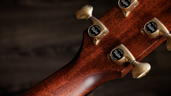 Preview: Taylor 814ce Builders Edition Honduras Palisander / Adirondack