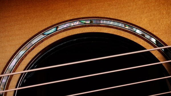 Taylor 814ce Builders Edition Honduran / Adirondack Next Generation