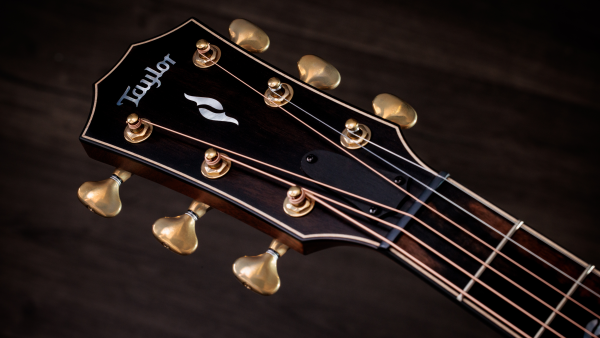 Preview: Taylor 814ce Builders Edition Honduras Palisander / Adirondack