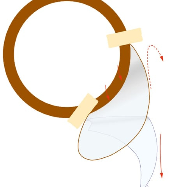 Preview: Lakewood Pickuard / Schlagbrett glänzend