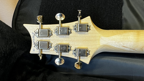 2021 PRS Fiore Mark Lettieri Black Iris  - 2nd Hand