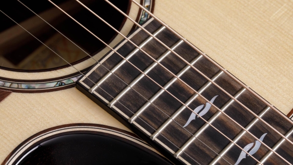 Taylor 814ce Builders Edition