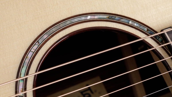 Taylor 814ce Builders Edition