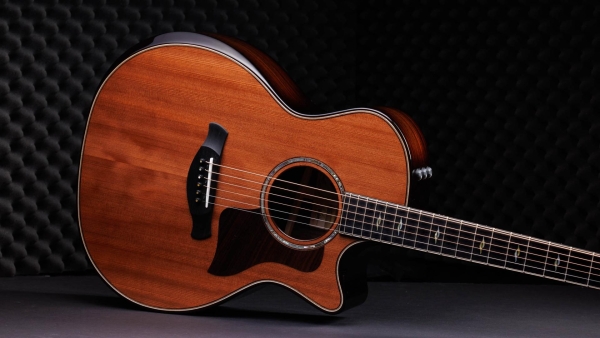 Taylor 50th Anniversary 814ce Builders Edition