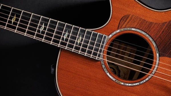 Taylor 50th Anniversary 814ce Builders Edition