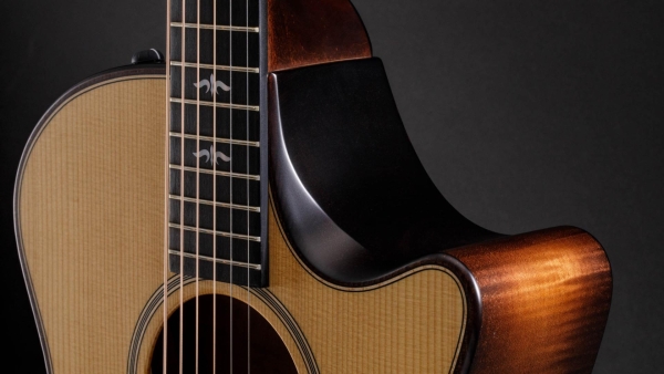Taylor 614ce Builders Edition
