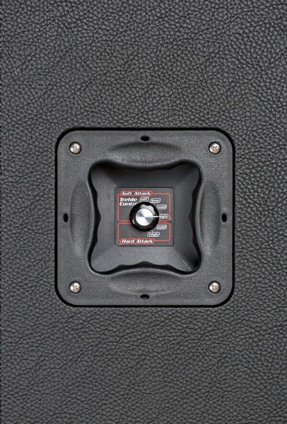Preview: Eich Amplification 210M, 8Ohm