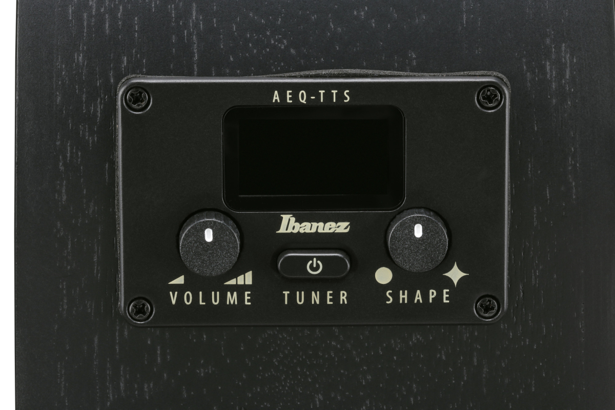 Ibanez AEG621-BOT Black Out