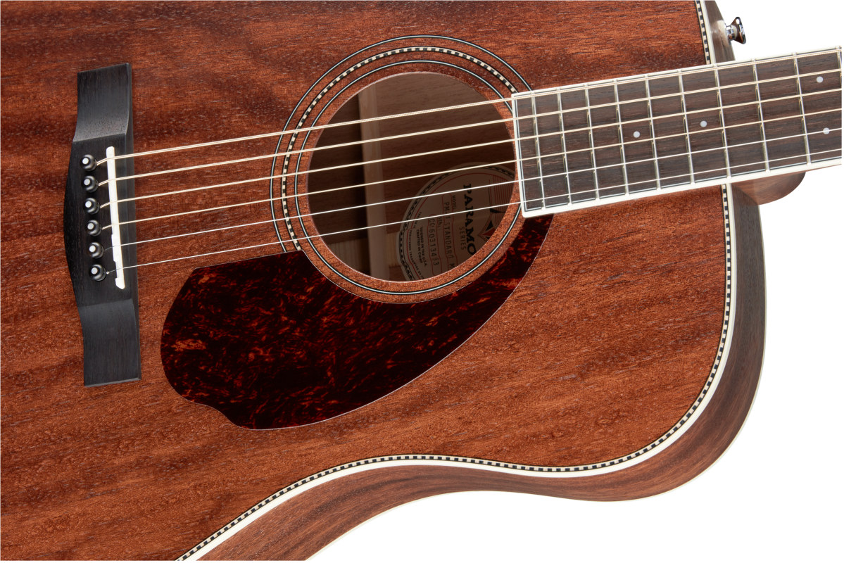 Fender PM-1 All Mahogany