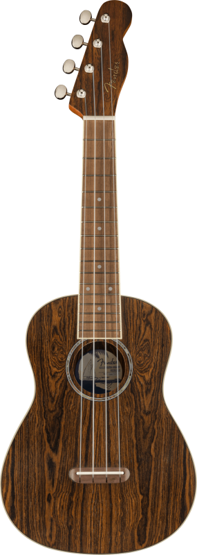 Fender Zuma Exotic Concert Ukulele