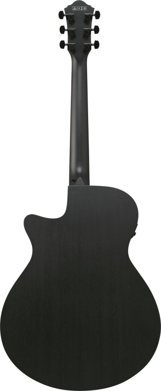 Ibanez AEG621-BOT Black Out