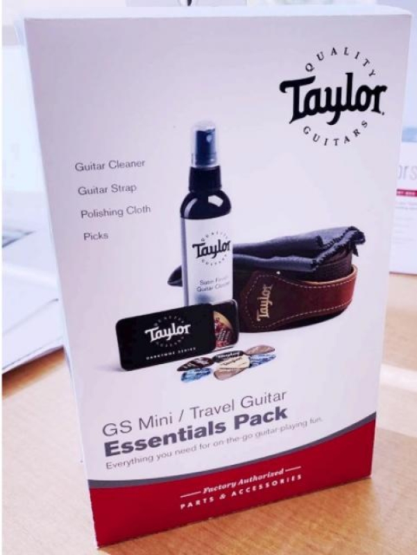 Taylor GS Mini Travel Guitar Essential Pack