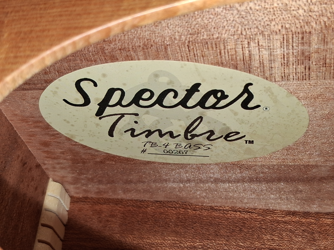 Spector Timbre TB-4 Akkustik Bass, massive Fichtendecke, Tonabnehmer, gebraucht