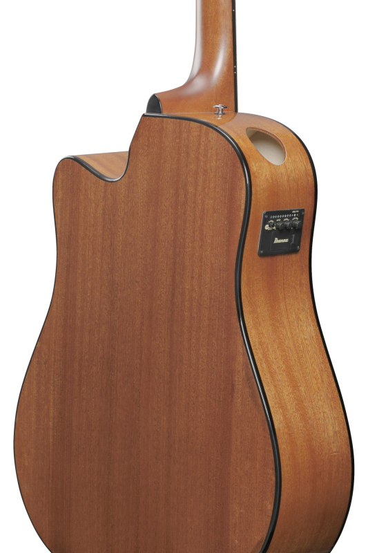 Ibanez AAD-51CE DVS