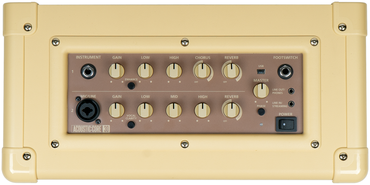 Blackstar Acoustic Core 30