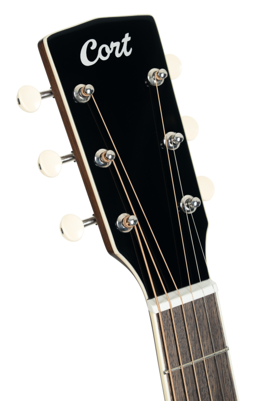 Cort Exotic GA Walnut