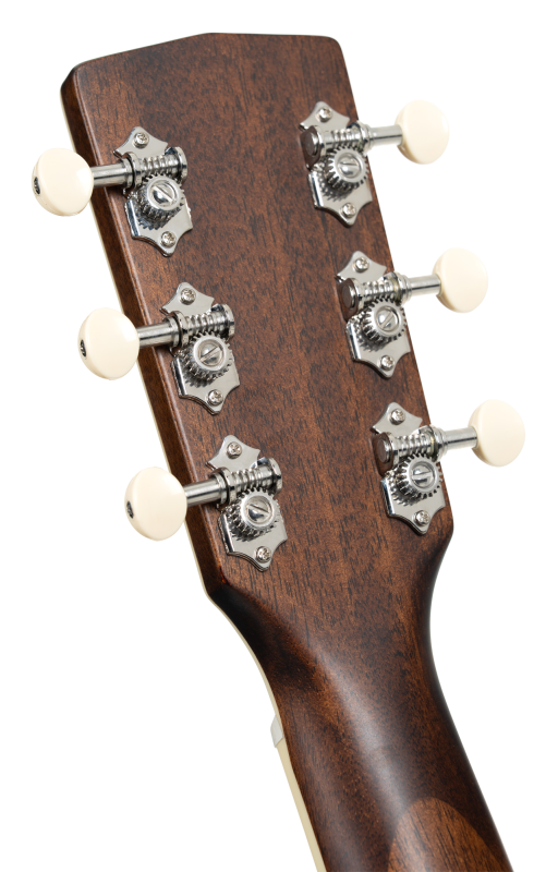 Cort Exotic GA Walnut