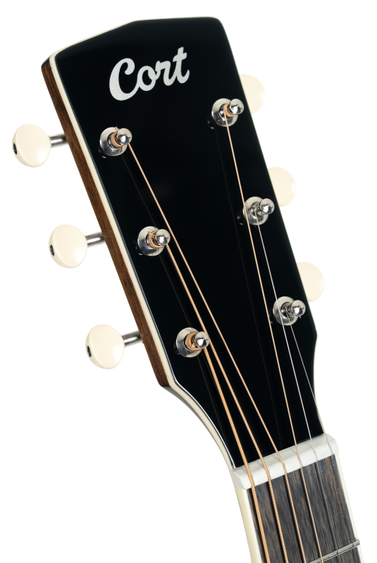 Cort Exotic SFX Ash