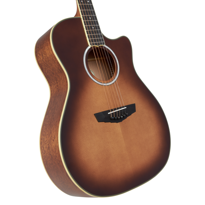 D´Angelico Excel Gramercy Autumn Burst