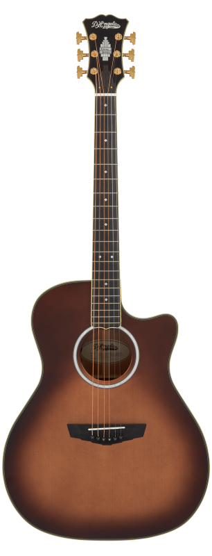 D´Angelico Excel Gramercy Autumn Burst