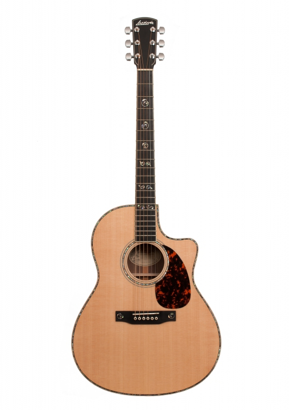 Larrivee LV-10 Rosewood deluxe