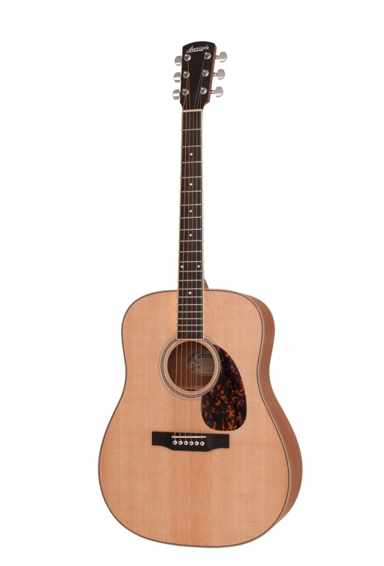 Larrivee D-03 Mahogany 1x zum Super-Preis!!