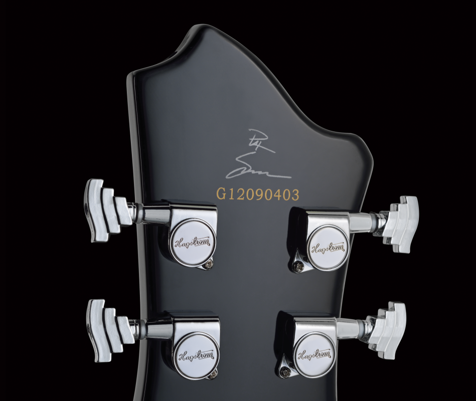 Hagstrom Pat Smear Signature