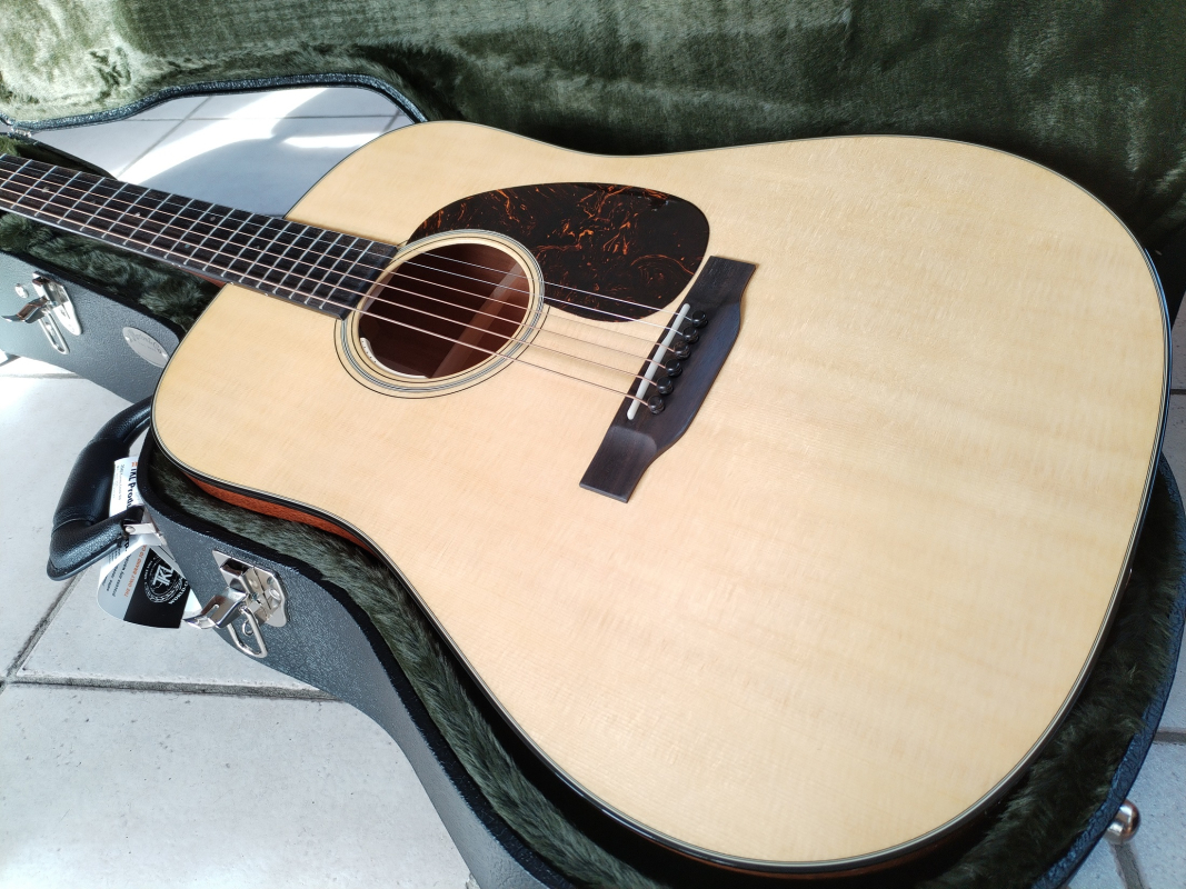 Martin D-18 L.R.Baggs Anthem