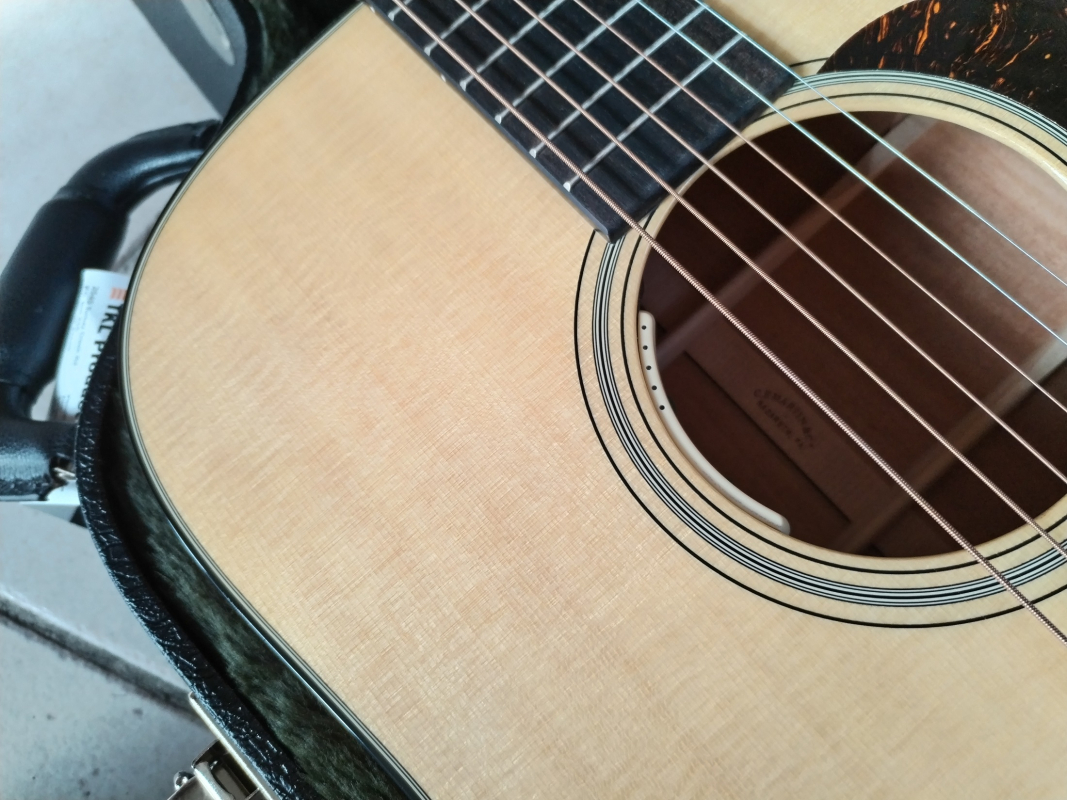 Martin D-18 L.R.Baggs Anthem