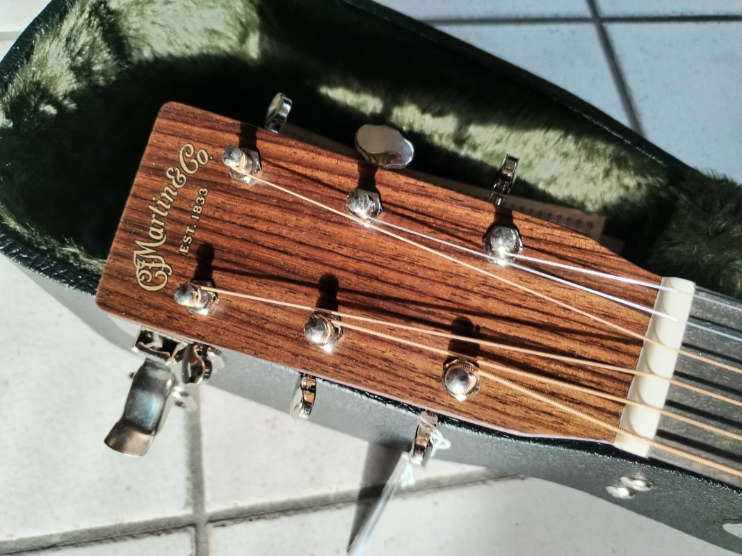 Martin D-18 L.R.Baggs Anthem